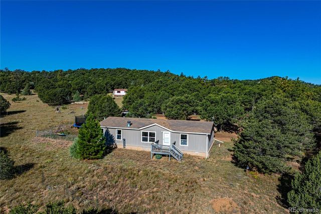 47 Bob Richards Drive, Cotopaxi, CO 81223