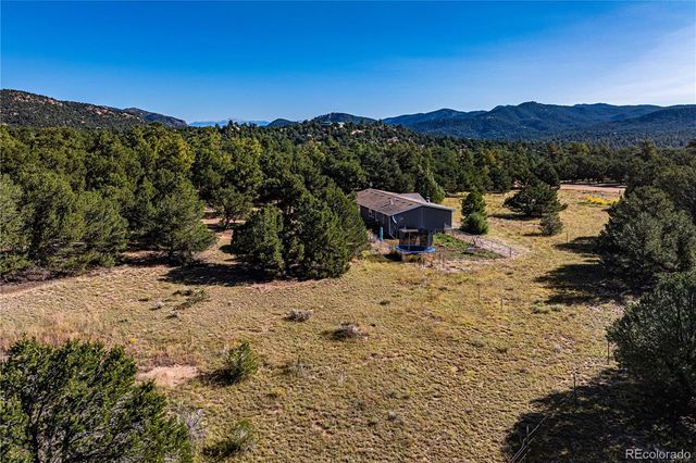 47 Bob Richards Drive, Cotopaxi, CO 81223