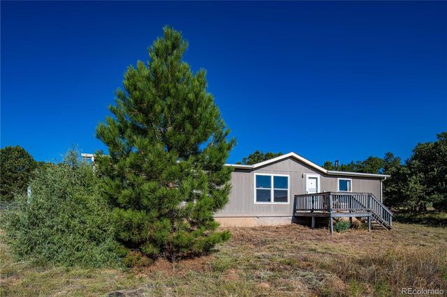 47 Bob Richards Drive, Cotopaxi, CO 81223