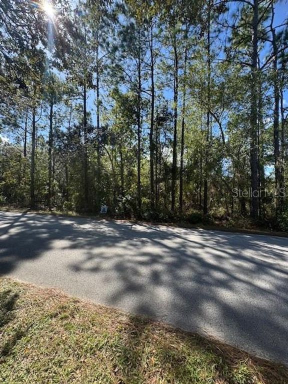 SW 178TH TER TERRACE SW, Dunnellon, FL 34432