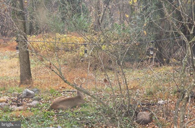 76 ZORGER ST, Harpers Ferry, WV 25425