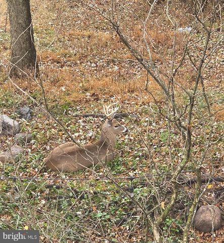 76 ZORGER ST, Harpers Ferry, WV 25425