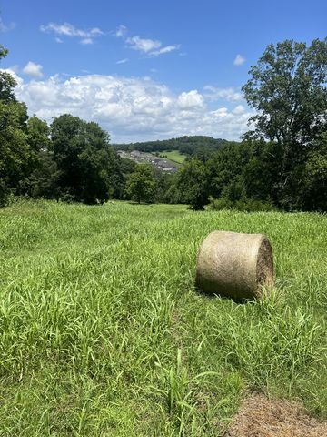 0 John Sharp Rd, Spring Hill, TN 37174