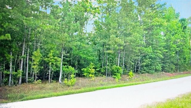 Lot 8 Blewett Falls Road 8, Rockingham, NC 28379
