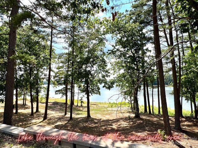 Lot 8 Blewett Falls Road 8, Rockingham, NC 28379