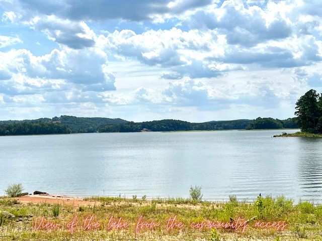 Lot 8 Blewett Falls Road 8, Rockingham, NC 28379