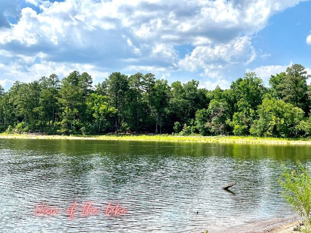 Lot 8 Blewett Falls Road 8, Rockingham, NC 28379