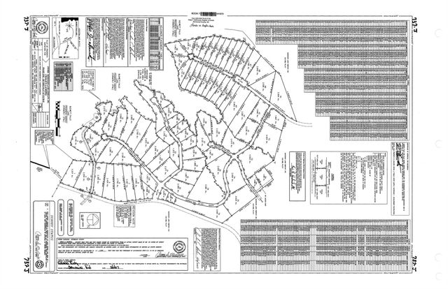 Lot 8 Blewett Falls Road 8, Rockingham, NC 28379