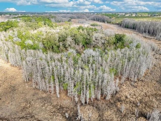 11535 MATTIODA ROAD, Groveland, FL 34736