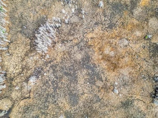 11535 MATTIODA ROAD, Groveland, FL 34736