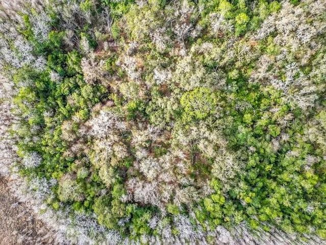 11535 MATTIODA ROAD, Groveland, FL 34736