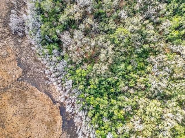 11535 MATTIODA ROAD, Groveland, FL 34736