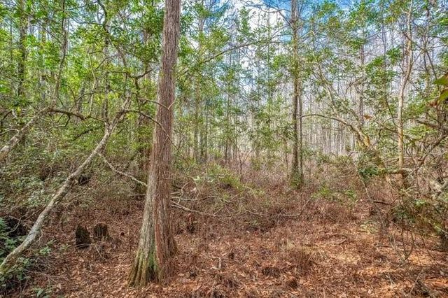 11535 MATTIODA ROAD, Groveland, FL 34736