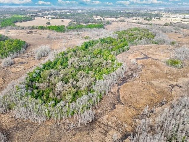 11535 MATTIODA ROAD, Groveland, FL 34736