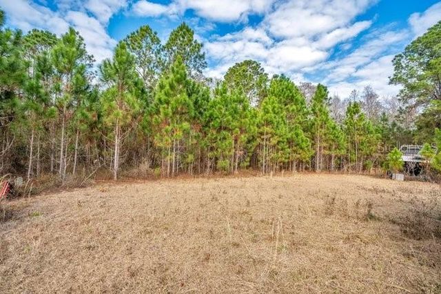 11535 MATTIODA ROAD, Groveland, FL 34736