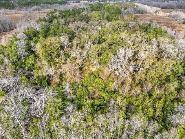 11535 MATTIODA ROAD, Groveland, FL 34736