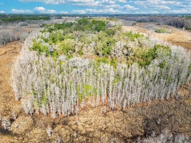 11535 MATTIODA ROAD, Groveland, FL 34736