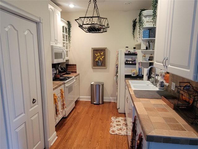 206 FEARON AVENUE, Mount Dora, FL 32757