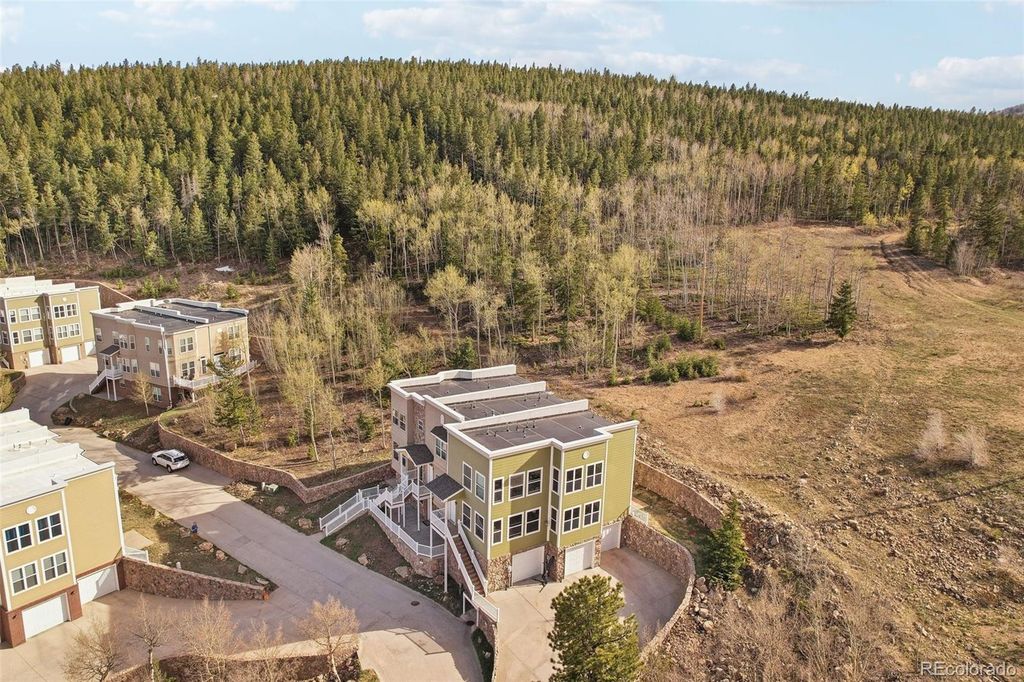 785 Martin Drive, Central City, CO 80427