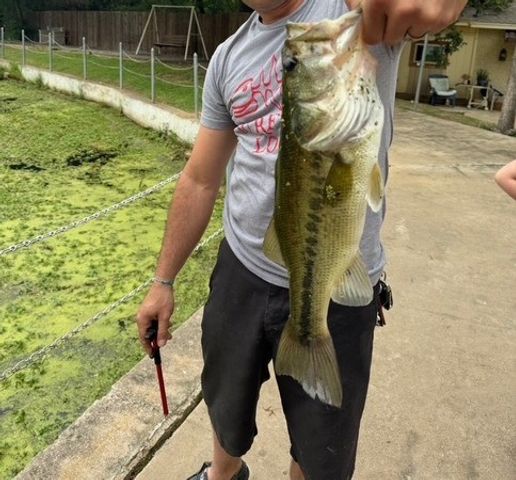 204 Pembrook Street, Lake Dallas, TX 75065