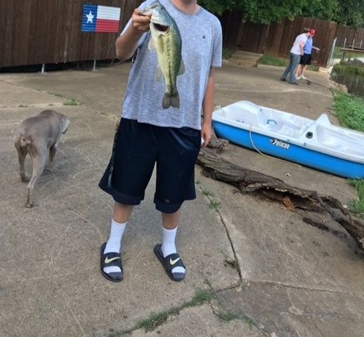 204 Pembrook Street, Lake Dallas, TX 75065