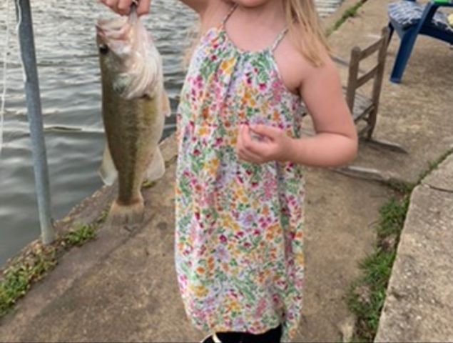 204 Pembrook Street, Lake Dallas, TX 75065