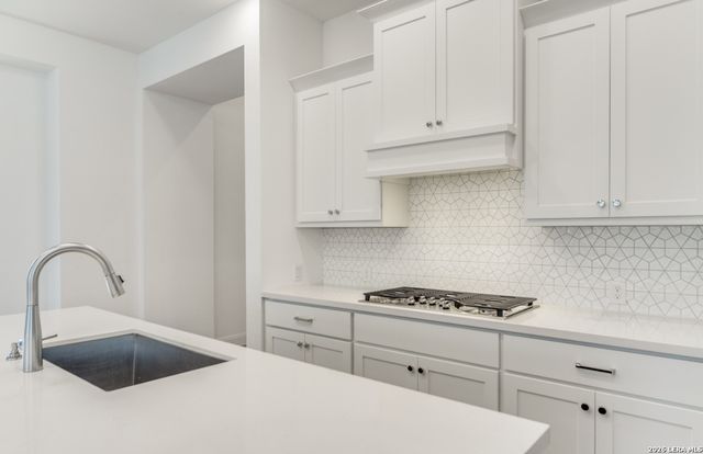 335 Alpine Lks, New Braunfels, TX 78130