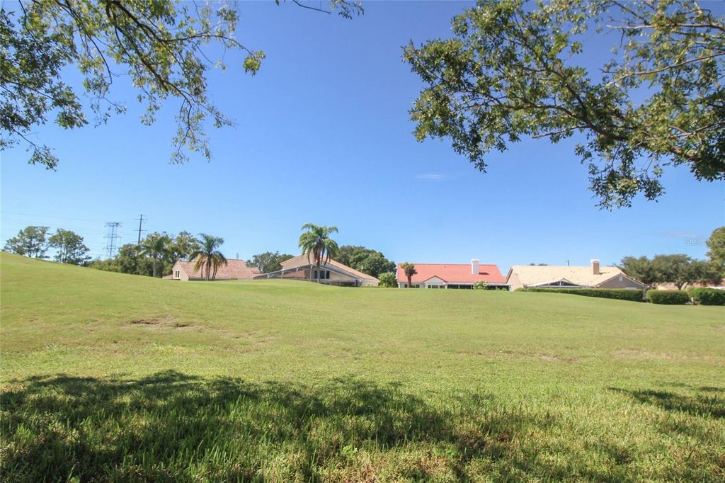 Image 24 of property listing at 3772 VENTURA COVE DRIVE, Orlando, FL 32822