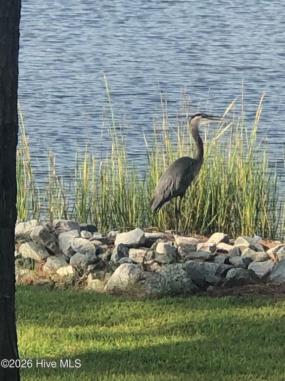 Image 64 of property listing at 183 Weatherby Way, Merritt, NC 28556