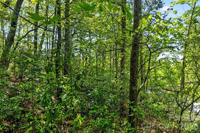 131-133 McKenzie Way N, Old Fort, NC 28762