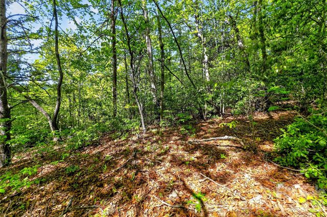 131-133 McKenzie Way N, Old Fort, NC 28762