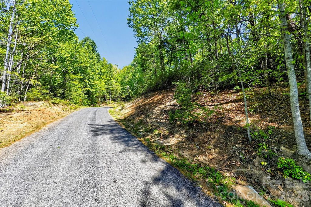 131-133 McKenzie Way N, Old Fort, NC 28762