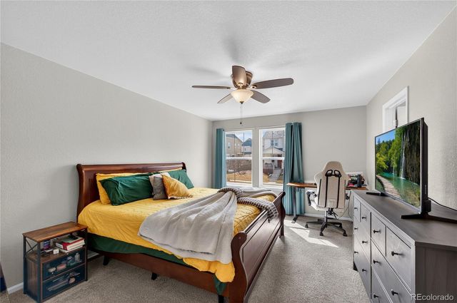 3318 Emily Street, Castle Rock, CO 80109