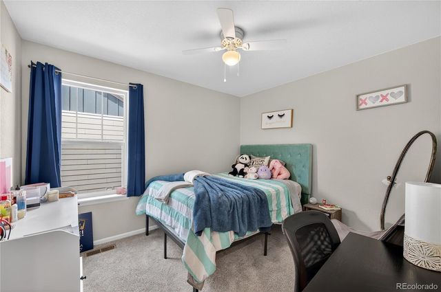 3318 Emily Street, Castle Rock, CO 80109