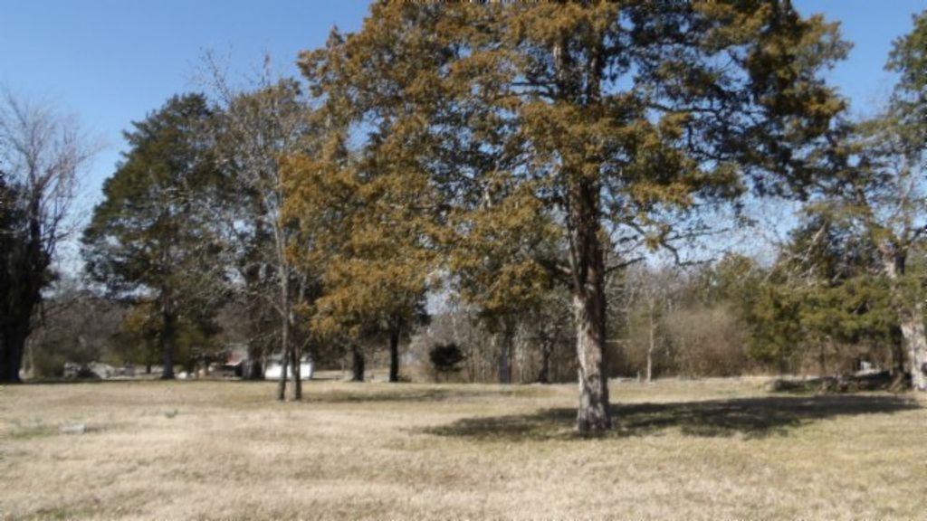 1586 Needmore Rd, Old Hickory, TN 37138