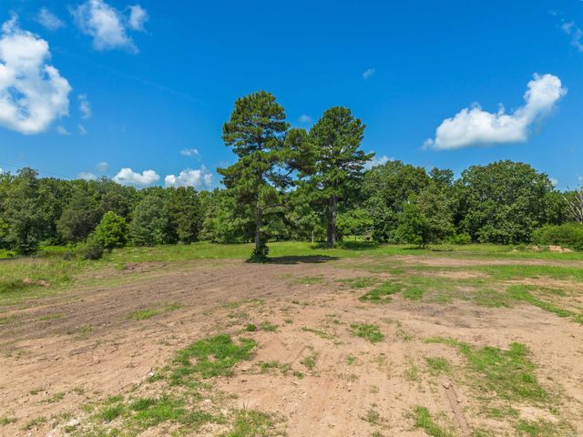 19 Mountain Grove, Greenbrier, AR 72058