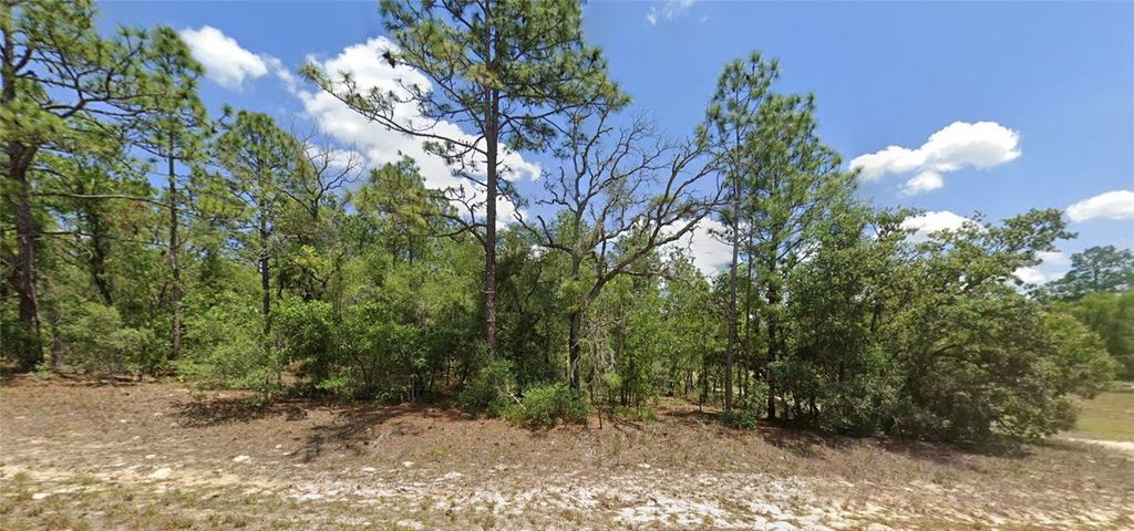 9857 N LATHYRUS TERRACE, Dunnellon, FL 34433