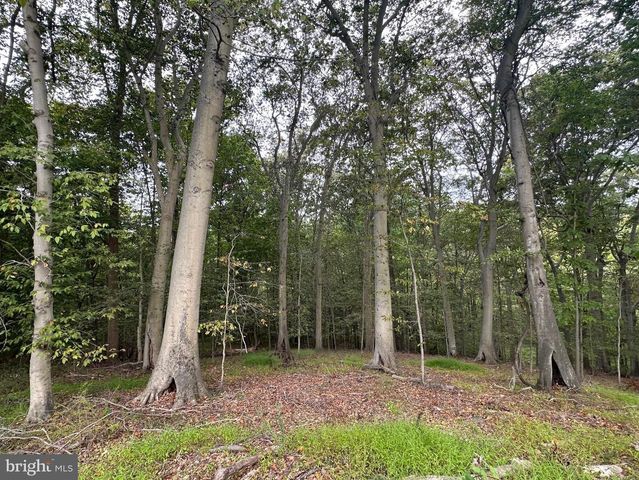 547 WEBB RD -DD, Chadds Ford, PA 19317