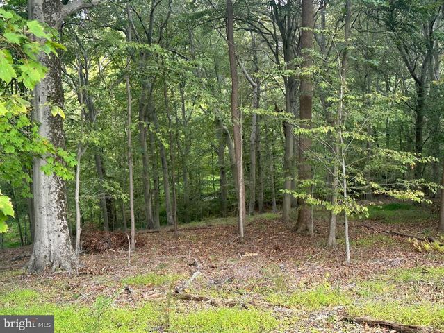 547 WEBB RD -DD, Chadds Ford, PA 19317