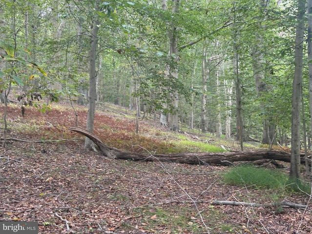 547 WEBB RD -DD, Chadds Ford, PA 19317