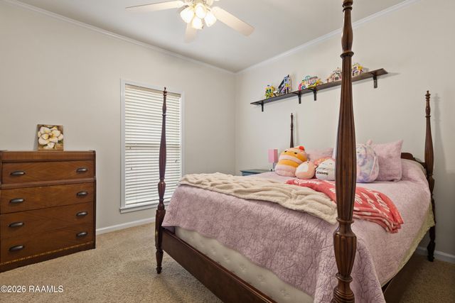 3040 Mark Twain Drive, Maurice, LA 70555