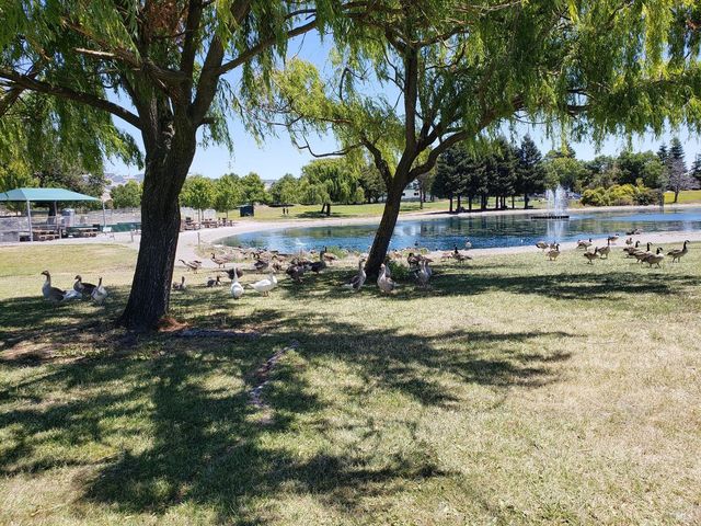 240 Park Place Dr, Petaluma, CA 94954