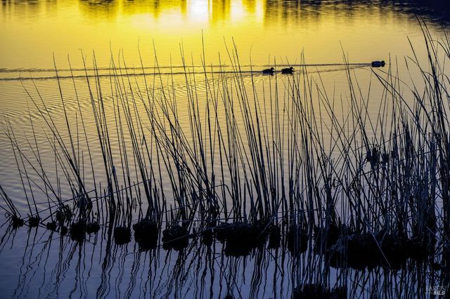 240 Park Place Dr, Petaluma, CA 94954