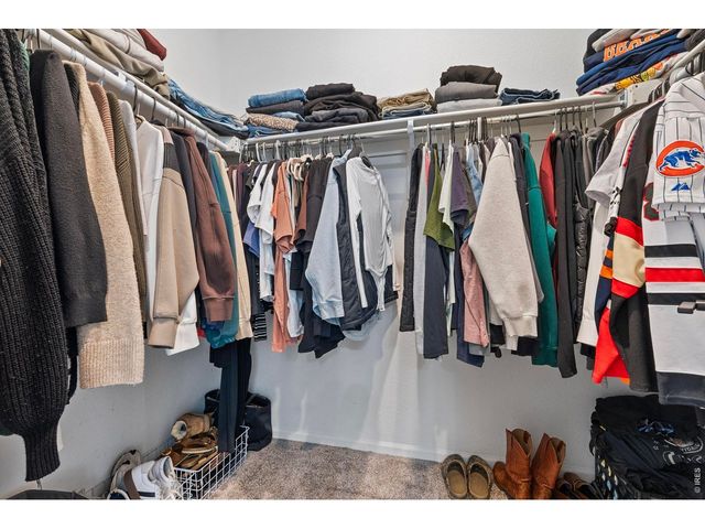 937 Eva Peak Dr, Erie, CO 80516