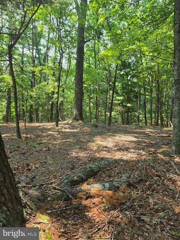 CHASE WOODS LANE LOTS 2-6, Great Cacapon, WV 25422