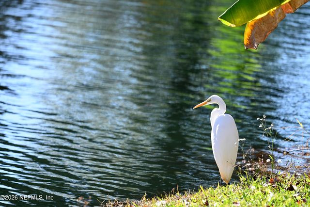 426 HARVEST BEND Drive, Fleming Island, FL 32003