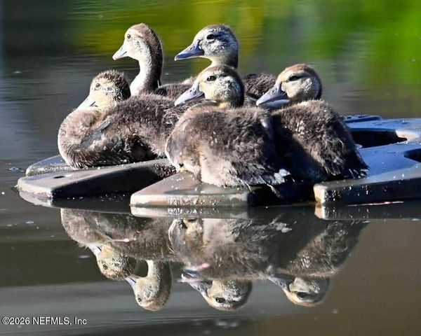 426 HARVEST BEND Drive, Fleming Island, FL 32003