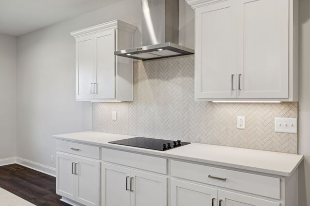 2895 Cooper Creek Rd, Woodlawn, TN 37191