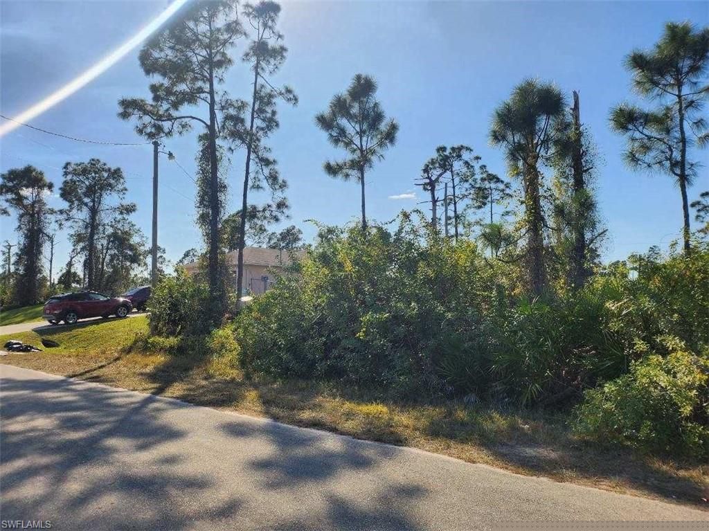 1059 Fayette AVE, LEHIGH ACRES, FL 33974 — photo 2