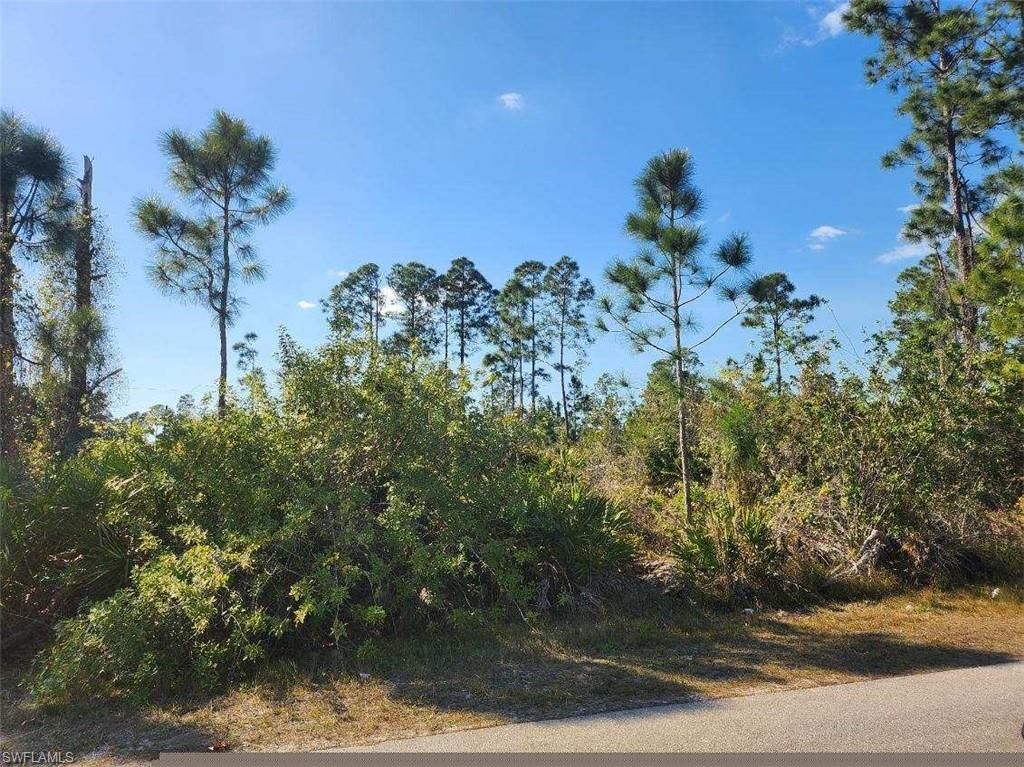1059 Fayette AVE, LEHIGH ACRES, FL 33974 — photo 3